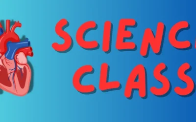 Year 10 and Nurture Science Experiment.